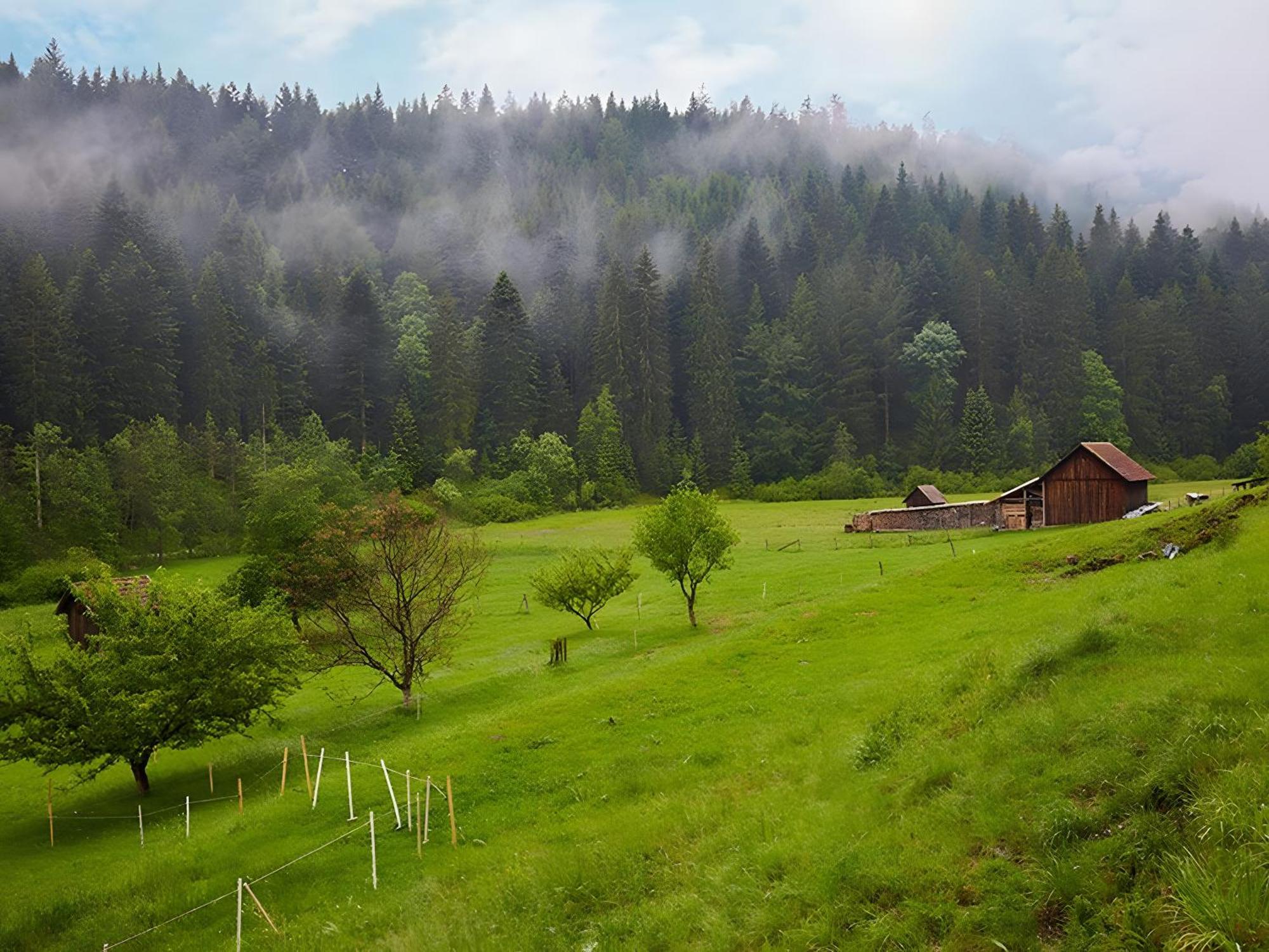 Haus Am Kaltenbach Enzklösterle Buitenkant foto
